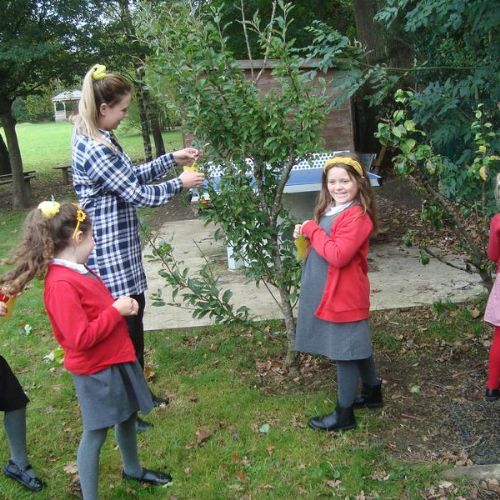 Wellbeing Wishes Tree October 2021